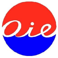 东方国际创业股份有限公司_企业Logo