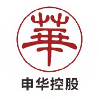 辽宁申华控股股份有限公司_企业Logo