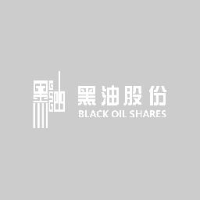 北京黑油数字展览股份有限公司_企业Logo
