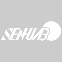 上海胜华波汽车电器有限公司_企业Logo
