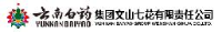 云南白药集团股份有限公司_企业Logo
