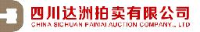 四川达洲拍卖有限公司_企业Logo