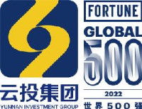 云南省电力投资有限公司_企业Logo
