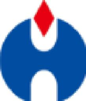 上海华菱电站成套设备股份有限公司_企业Logo