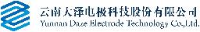 云南大泽电极科技股份有限公司_企业Logo
