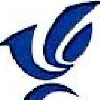 四川省新万兴碳纤维复合材料有限公司_企业Logo