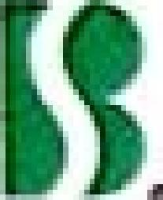 上海巴士第四公共交通有限公司_企业Logo
