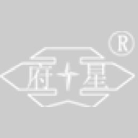 四川府星仪表有限公司_企业Logo