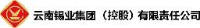 云南锡业集团(控股)有限责任公司_企业Logo