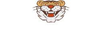 飞虎驼峰通用航空有限公司_企业Logo
