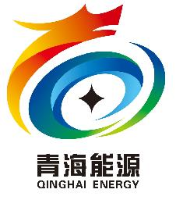 青海省能源发展（集团）有限责任公司_企业Logo