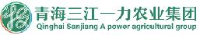 青海众和肉食品有限公司_企业Logo