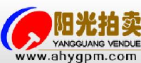 安徽阳光拍卖有限责任公司_企业Logo