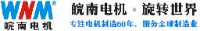安徽皖南电机股份有限公司_企业Logo