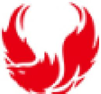 合肥远传包装科技有限公司_企业Logo