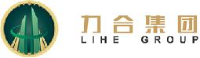 安徽力合电力建设有限公司_企业Logo