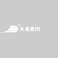 安徽省大名实业（集团）有限公司_企业Logo