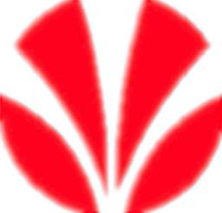 安徽意华电器有限公司_企业Logo