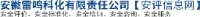 安徽雷鸣科化有限责任公司_企业Logo