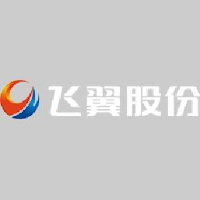 飞翼股份有限公司_企业Logo