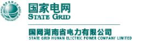 国网湖南省电力有限公司_企业Logo