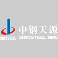 中钢天源股份有限公司_企业Logo