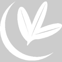 银川申立科贸有限公司_企业Logo