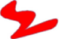 陕西智胜安全技术有限公司_企业Logo
