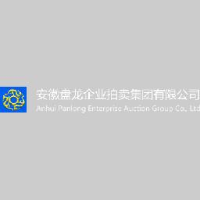 安徽盘龙企业拍卖集团有限公司_企业Logo