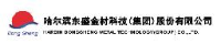 哈尔滨东盛金材科技(集团)股份有限公司_企业Logo