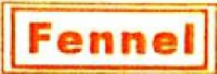 绥化中晶新能源有限公司_企业Logo