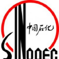 中石化工建设有限公司_企业Logo