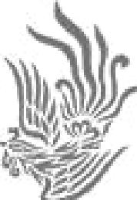 隆达骨质瓷有限公司_企业Logo