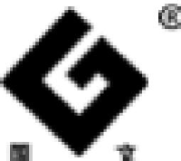 国文电气股份有限公司_企业Logo