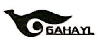 秦皇岛嘎哈医疗电子仪器有限公司_企业Logo