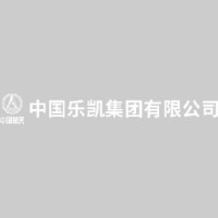 乐凯医疗科技有限公司_企业Logo