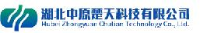 湖北中原楚天科技有限公司_企业Logo