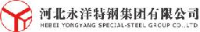 河北永洋特钢集团有限公司_企业Logo