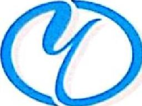 源隆汽车零部件（武汉）有限公司_企业Logo