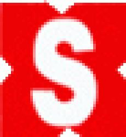 孝感松林智能计测器有限公司_企业Logo