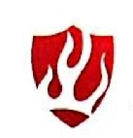湖北金安自控工程有限公司_企业Logo