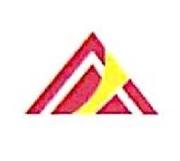 武汉检安石化工程有限公司_企业Logo