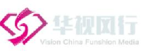 北京华视风行集团股份有限公司_企业Logo