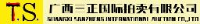 广西三正国际拍卖有限公司_企业Logo