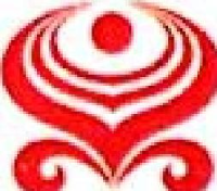 大新华航空有限公司_企业Logo