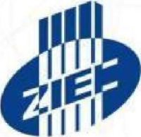 中鼎国际工程有限责任公司_企业Logo