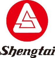 江苏晟泰集团有限公司_企业Logo