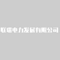 联瑞电力发展有限公司_企业Logo