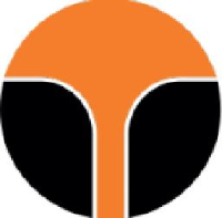 大连蒂艾斯科技发展股份有限公司_企业Logo