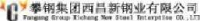 西昌攀新钒钛金属材料有限公司_企业Logo